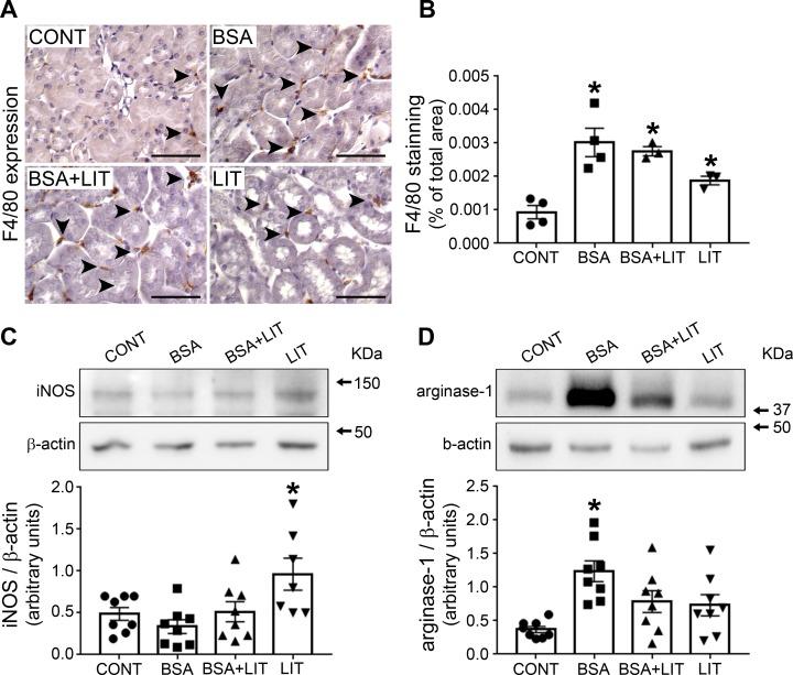 https://cdn.ncbi.nlm.nih.gov/pmc/blobs/555c/6474631/605a905e4ea7/pone.0215871.g008.jpg