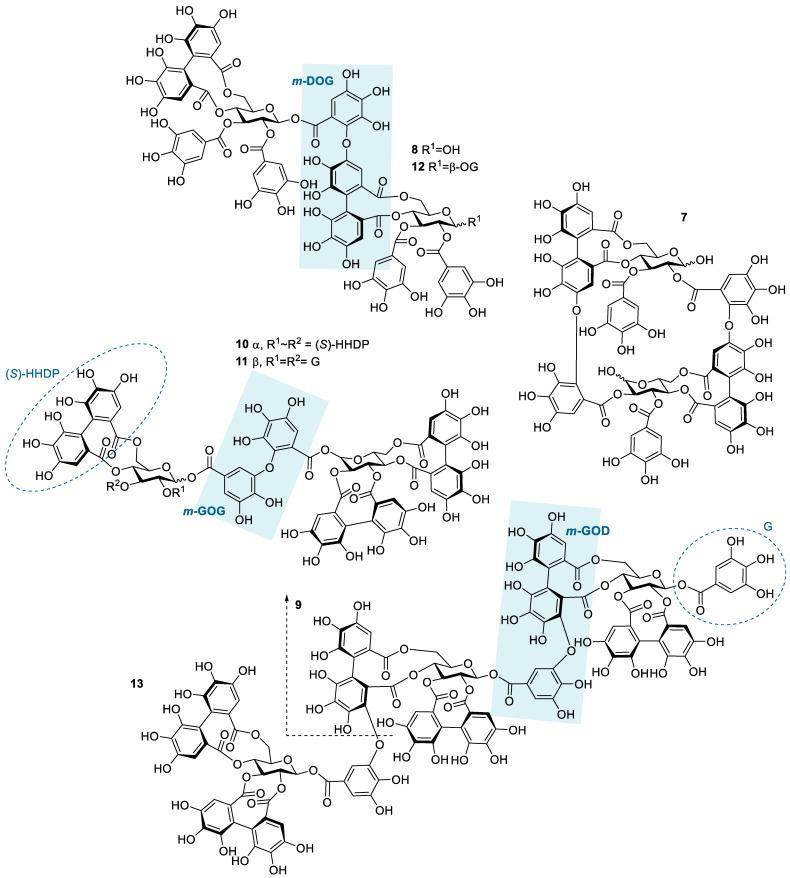 https://cdn.ncbi.nlm.nih.gov/pmc/blobs/555d/10343783/861c4607a3c5/molecules-28-05261-g002.jpg