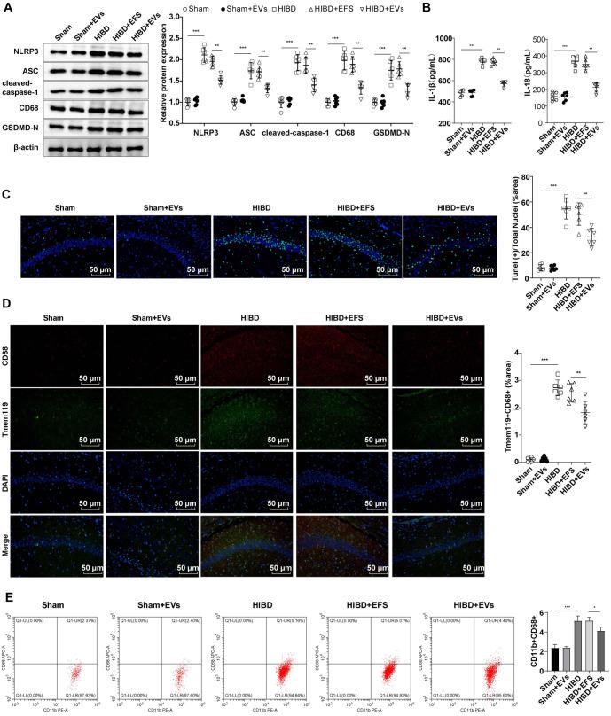 https://cdn.ncbi.nlm.nih.gov/pmc/blobs/555d/12097387/1095b63edb95/bb-2024-10706f2.jpg