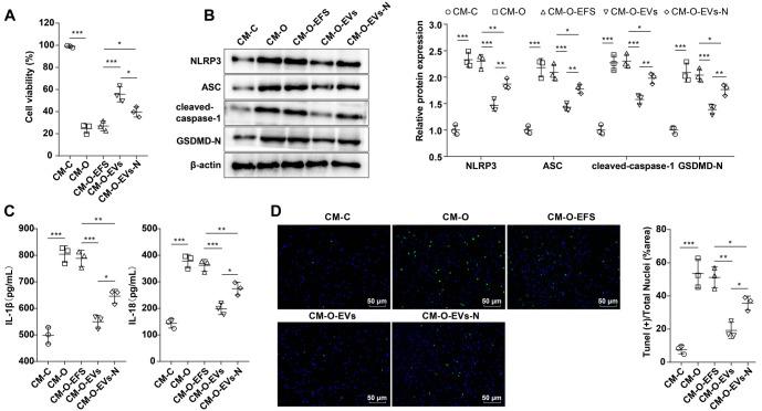https://cdn.ncbi.nlm.nih.gov/pmc/blobs/555d/12097387/67cdd777b709/bb-2024-10706f4.jpg