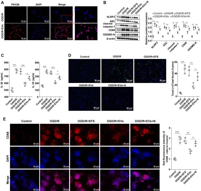 https://cdn.ncbi.nlm.nih.gov/pmc/blobs/555d/12097387/8b9e48c56e0d/bb-2024-10706f3.jpg
