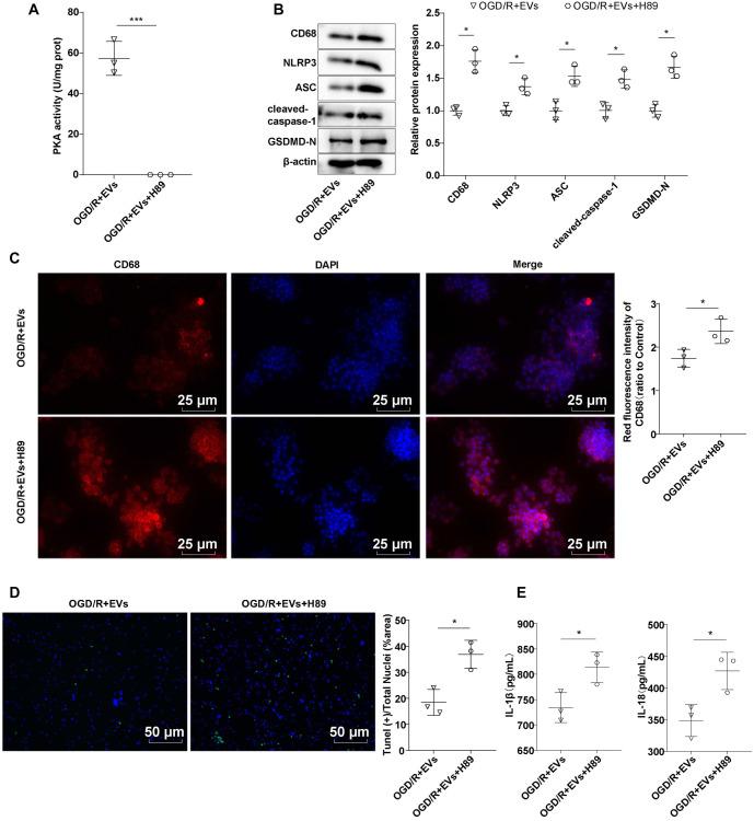https://cdn.ncbi.nlm.nih.gov/pmc/blobs/555d/12097387/f0fac23d111e/bb-2024-10706f6.jpg