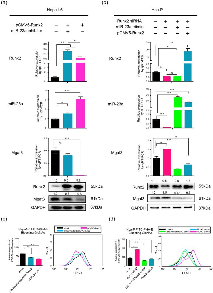 https://cdn.ncbi.nlm.nih.gov/pmc/blobs/555e/5943354/98b4fec60a0b/41598_2018_25768_Fig5_HTML.jpg