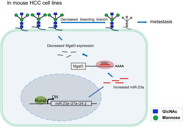 https://cdn.ncbi.nlm.nih.gov/pmc/blobs/555e/5943354/f6e284c84071/41598_2018_25768_Fig6_HTML.jpg