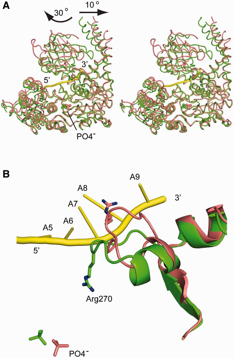 https://cdn.ncbi.nlm.nih.gov/pmc/blobs/555f/3505976/95dd734d592e/gks792f3p.jpg