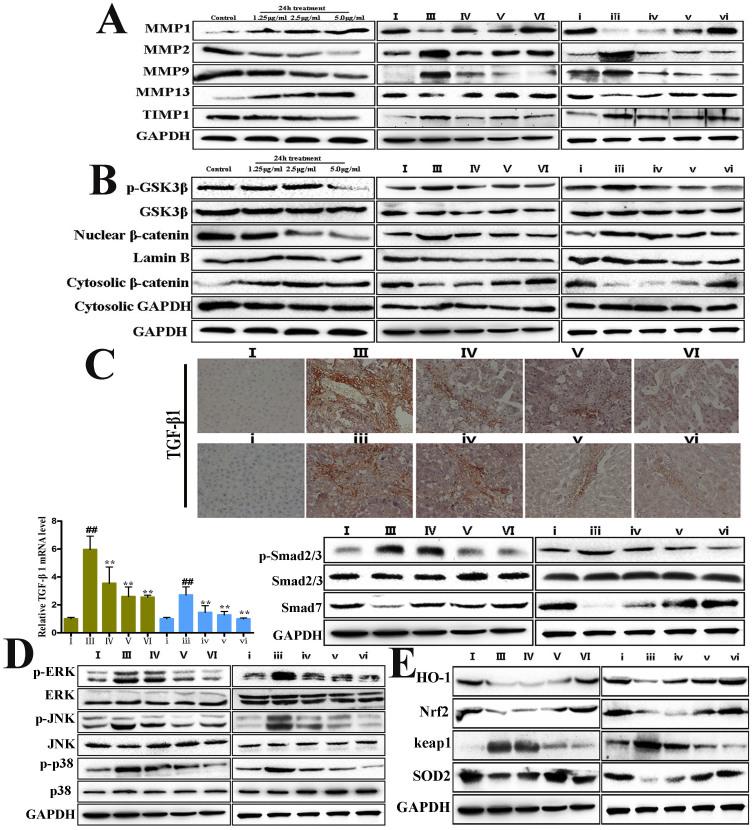 https://cdn.ncbi.nlm.nih.gov/pmc/blobs/5560/4389718/a71c5911421b/srep09713-f5.jpg