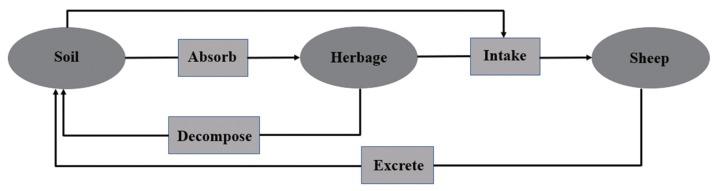 https://cdn.ncbi.nlm.nih.gov/pmc/blobs/5561/6946991/ccf4c603f230/ajas-18-0955f1.jpg