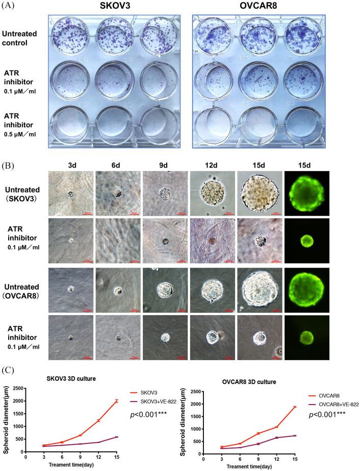 https://cdn.ncbi.nlm.nih.gov/pmc/blobs/5561/8013598/d1a264ff62ad/10.1177_1758835920982853-fig8.jpg