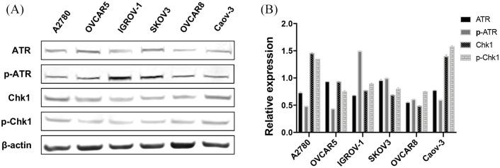 https://cdn.ncbi.nlm.nih.gov/pmc/blobs/5561/8013598/fa279e8002fa/10.1177_1758835920982853-fig4.jpg