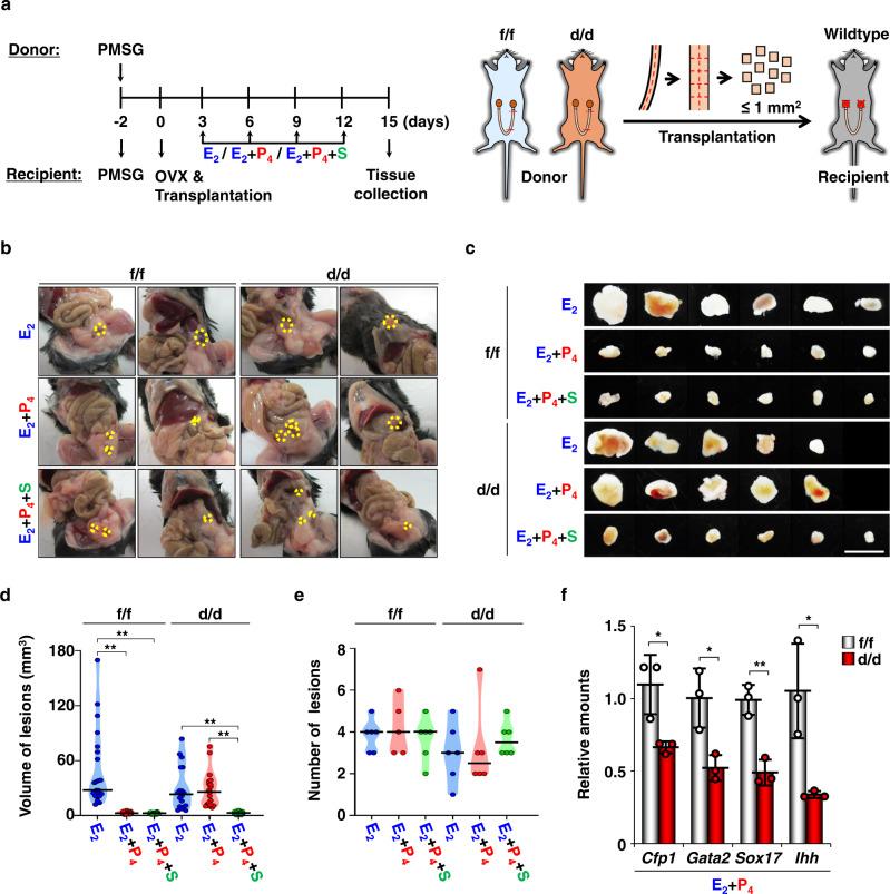 https://cdn.ncbi.nlm.nih.gov/pmc/blobs/5563/10239508/241d674929ad/41467_2023_39008_Fig4_HTML.jpg