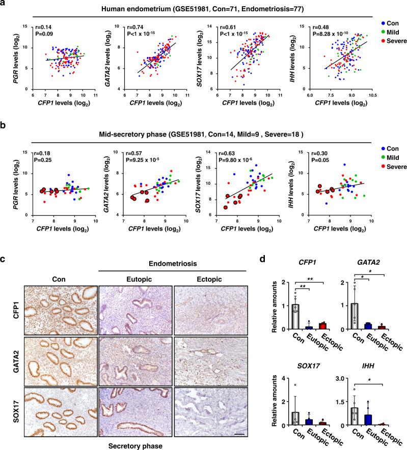 https://cdn.ncbi.nlm.nih.gov/pmc/blobs/5563/10239508/4866a0c6becf/41467_2023_39008_Fig5_HTML.jpg