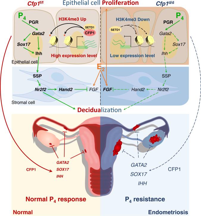 https://cdn.ncbi.nlm.nih.gov/pmc/blobs/5563/10239508/55f7f1a430e4/41467_2023_39008_Fig6_HTML.jpg