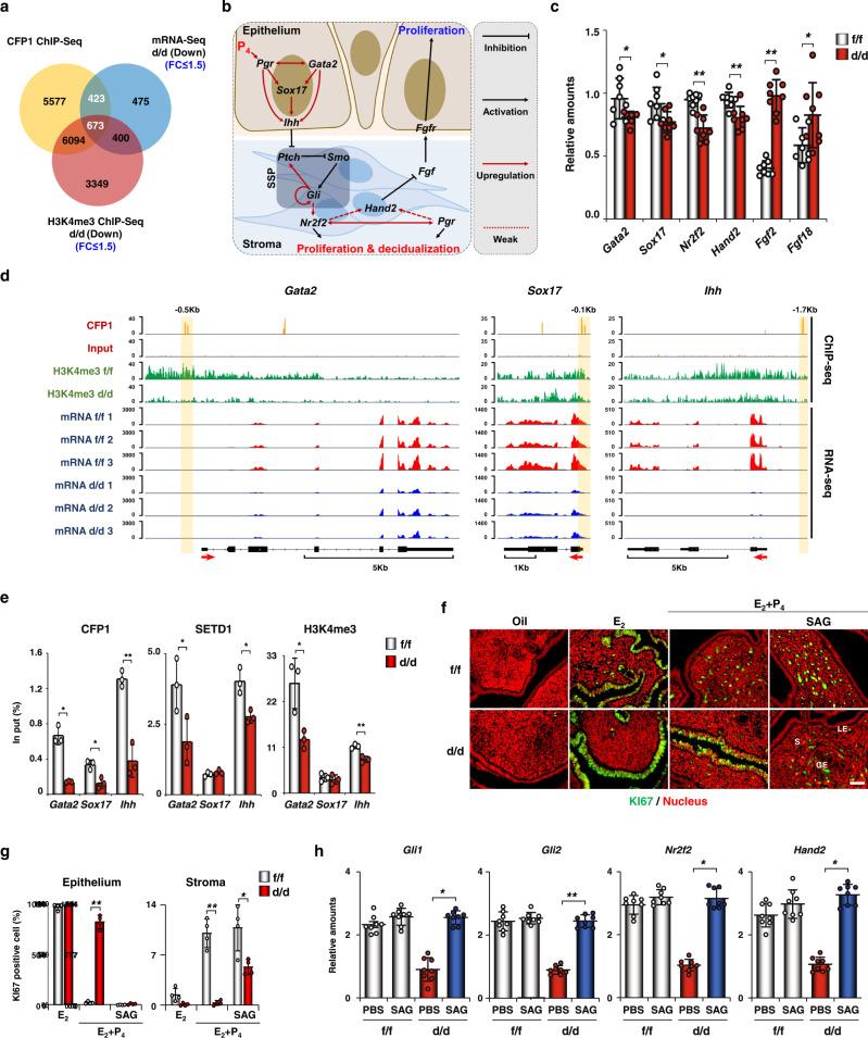https://cdn.ncbi.nlm.nih.gov/pmc/blobs/5563/10239508/6eee03409530/41467_2023_39008_Fig3_HTML.jpg