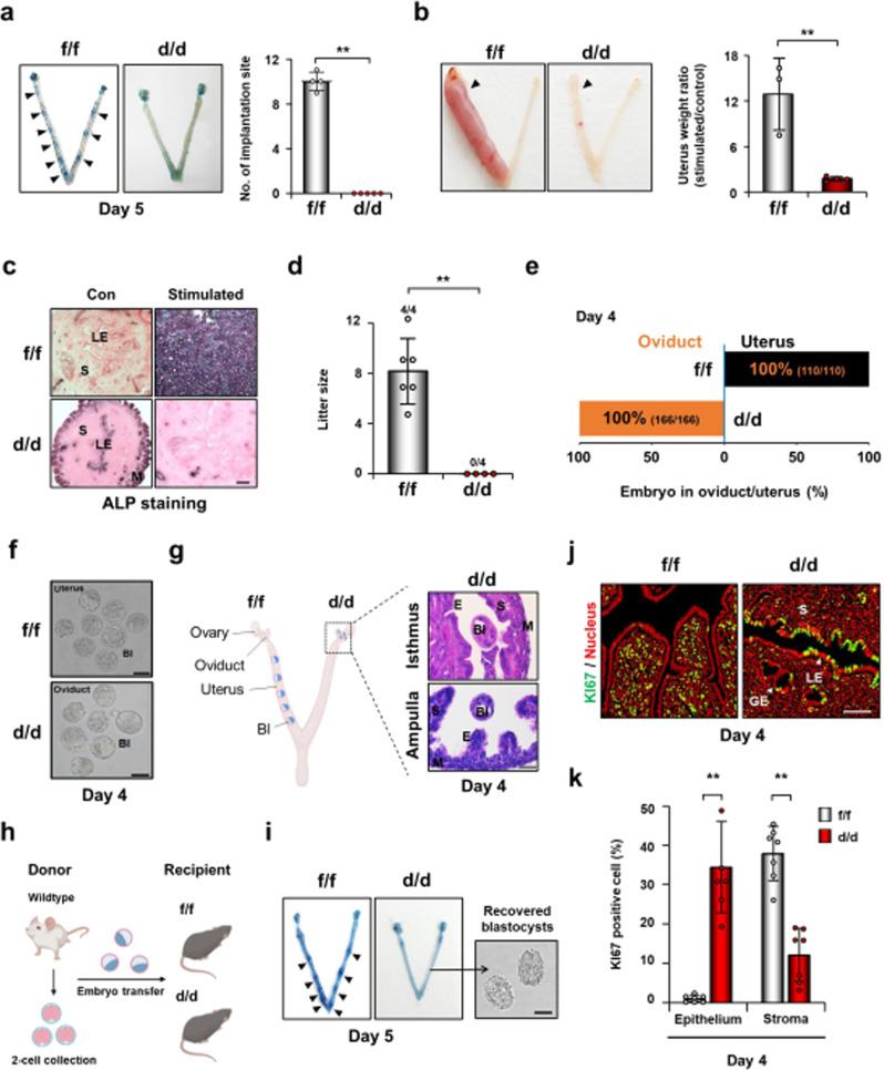 https://cdn.ncbi.nlm.nih.gov/pmc/blobs/5563/10239508/a8ba035b1549/41467_2023_39008_Fig1_HTML.jpg