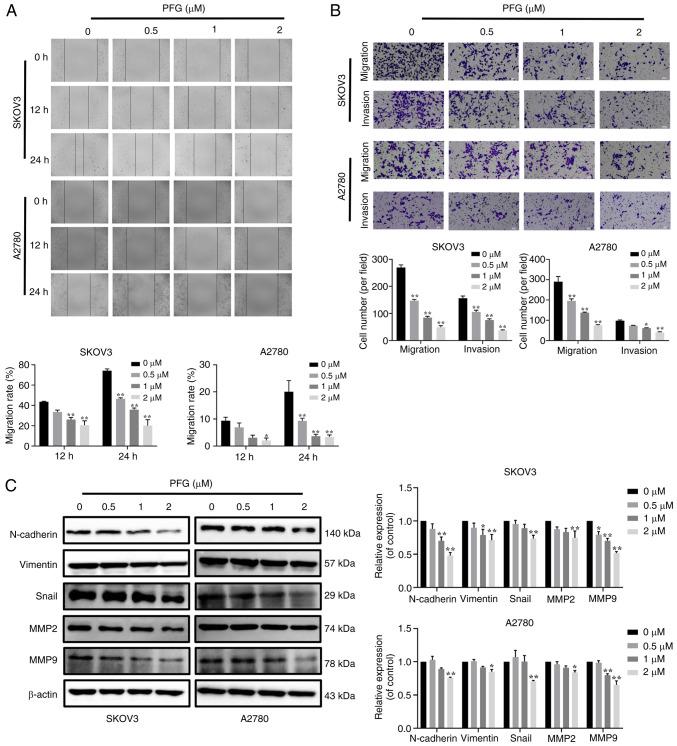 https://cdn.ncbi.nlm.nih.gov/pmc/blobs/5563/11188981/28791c6e9e48/ijmm-54-01-05384-g03.jpg