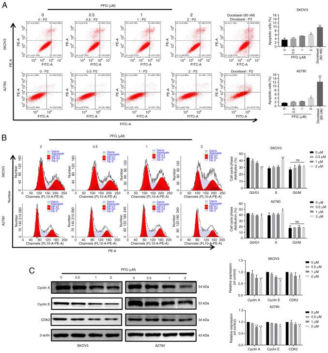 https://cdn.ncbi.nlm.nih.gov/pmc/blobs/5563/11188981/b7587d4c827b/ijmm-54-01-05384-g02.jpg