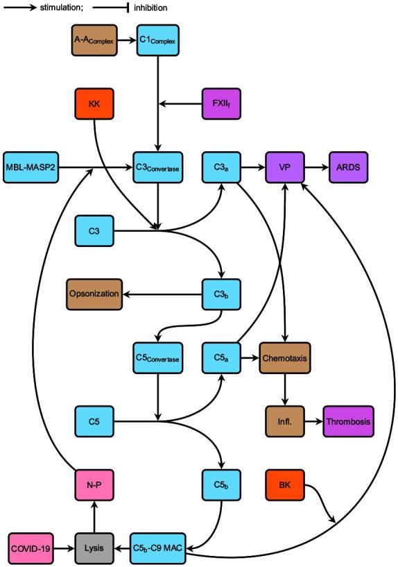 https://cdn.ncbi.nlm.nih.gov/pmc/blobs/5563/7724427/3b3c63c6c09a/10.1177_1470320320979097-fig2.jpg