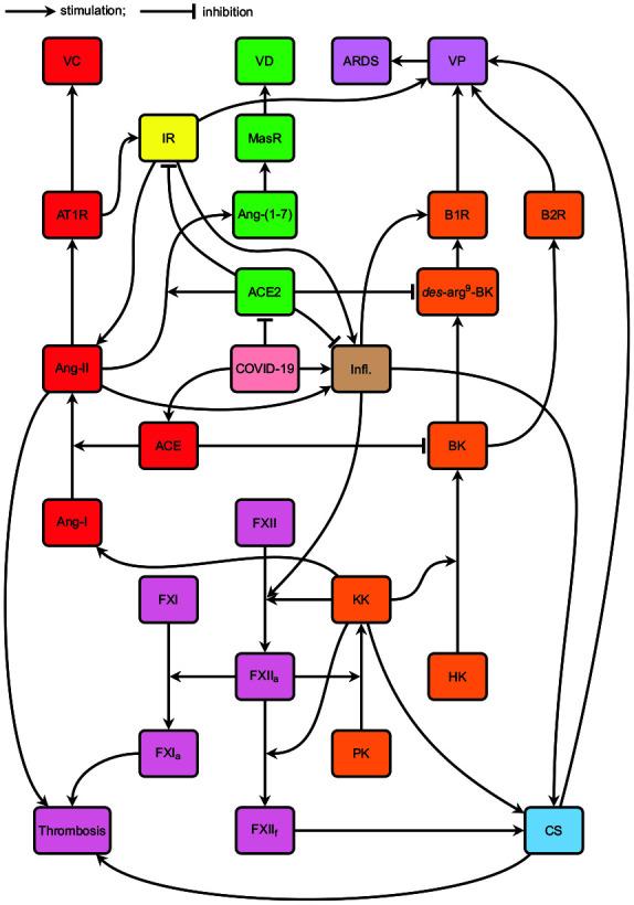 https://cdn.ncbi.nlm.nih.gov/pmc/blobs/5563/7724427/9ff435465fd5/10.1177_1470320320979097-fig3.jpg