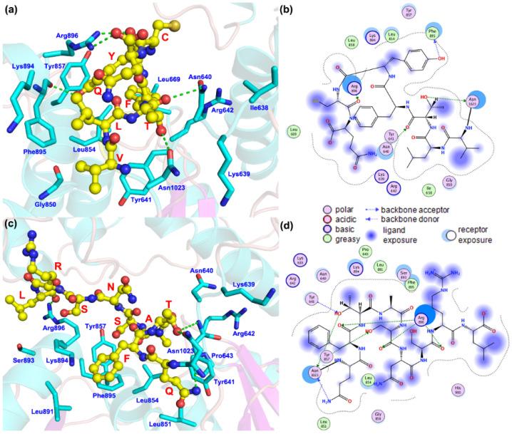 https://cdn.ncbi.nlm.nih.gov/pmc/blobs/5563/9140906/a000041c05a8/genes-13-00864-g006.jpg