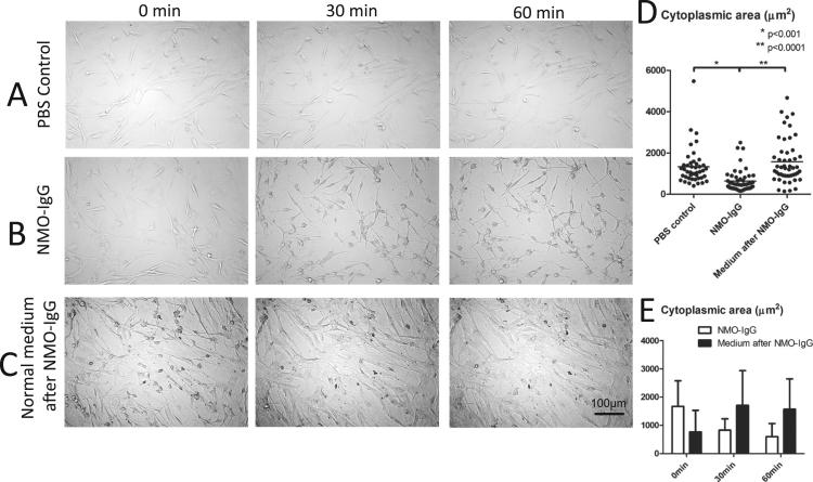https://cdn.ncbi.nlm.nih.gov/pmc/blobs/5567/5627508/c65dda399a4e/gr1.jpg