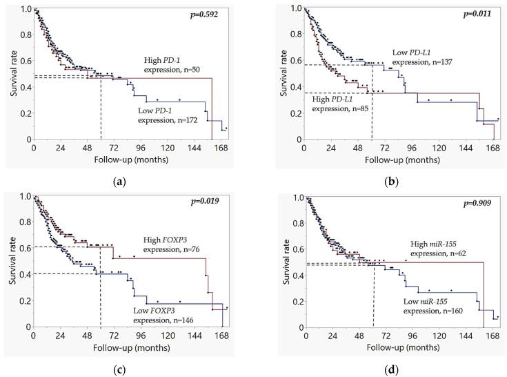 https://cdn.ncbi.nlm.nih.gov/pmc/blobs/5568/12347458/54952de98b00/ijms-26-07218-g004.jpg