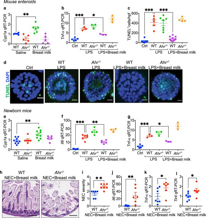 https://cdn.ncbi.nlm.nih.gov/pmc/blobs/5568/7884836/2632dc81b444/41467_2021_21356_Fig5_HTML.jpg