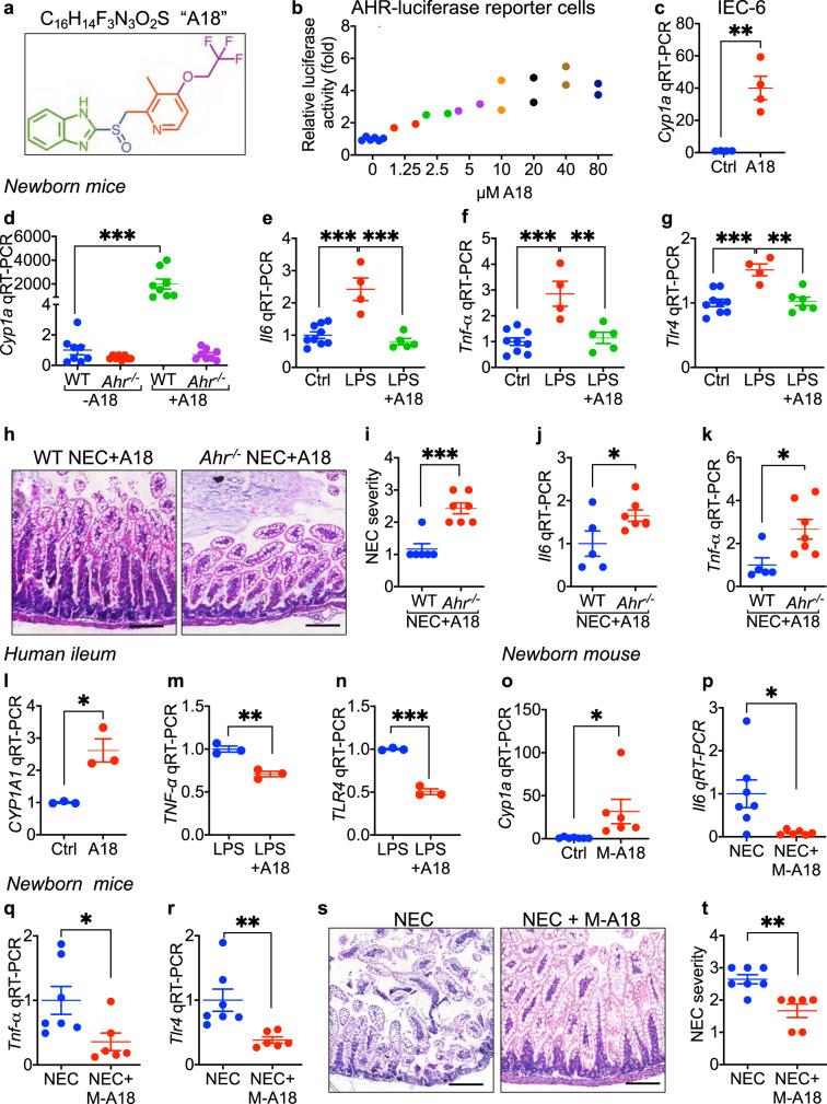 https://cdn.ncbi.nlm.nih.gov/pmc/blobs/5568/7884836/938ee9657685/41467_2021_21356_Fig6_HTML.jpg