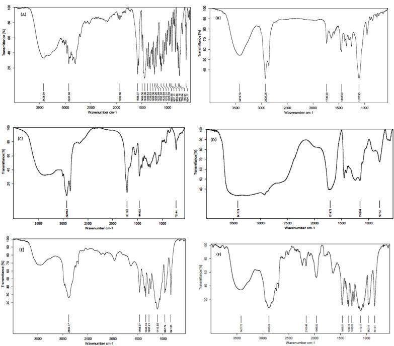 https://cdn.ncbi.nlm.nih.gov/pmc/blobs/556b/10297899/7aa7c677192a/gels-09-00457-g005.jpg