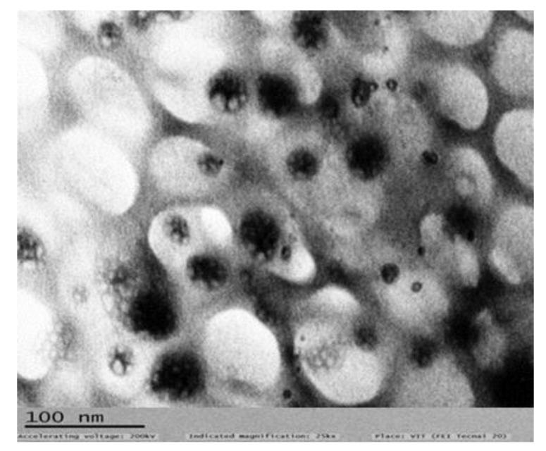 https://cdn.ncbi.nlm.nih.gov/pmc/blobs/556b/10297899/a56c61d0bbe7/gels-09-00457-g008.jpg