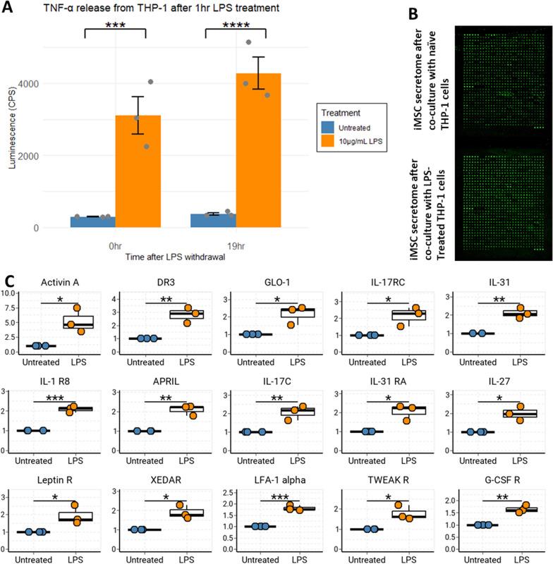 https://cdn.ncbi.nlm.nih.gov/pmc/blobs/556c/10557244/db77f96b8e85/13287_2023_3515_Fig6_HTML.jpg