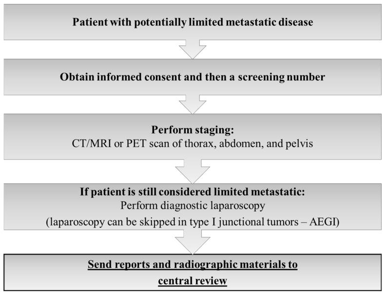 https://cdn.ncbi.nlm.nih.gov/pmc/blobs/556c/9658190/2505e1774384/cancers-14-05200-g002.jpg