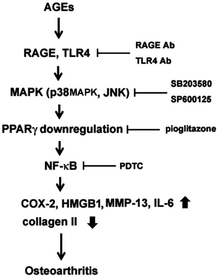https://cdn.ncbi.nlm.nih.gov/pmc/blobs/556d/3680452/be5cab67bbce/pone.0066611.g011.jpg