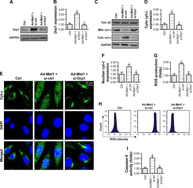 https://cdn.ncbi.nlm.nih.gov/pmc/blobs/556d/6376886/53df41983711/ott-12-1147Fig4.jpg