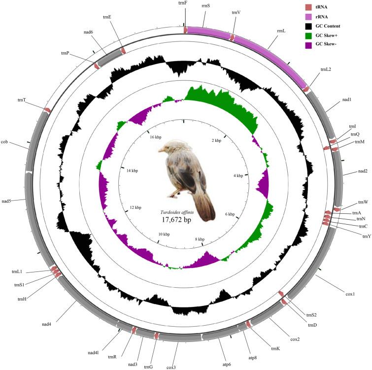 https://cdn.ncbi.nlm.nih.gov/pmc/blobs/556d/7530654/42815f96156e/41598_2020_72674_Fig1_HTML.jpg