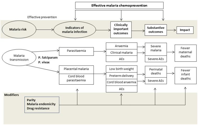 https://cdn.ncbi.nlm.nih.gov/pmc/blobs/556f/6494204/8952800a72f9/nCD011444-AFig-FIG02.jpg