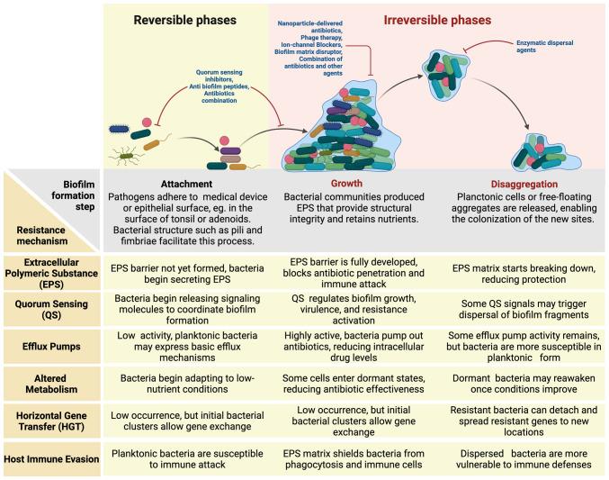 https://cdn.ncbi.nlm.nih.gov/pmc/blobs/5570/12001231/13d0b68c0bc9/br-22-06-01973-g00.jpg