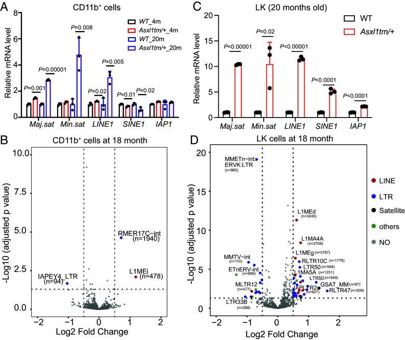 https://cdn.ncbi.nlm.nih.gov/pmc/blobs/5571/11725933/60900b309fbf/pnas.2413302121fig04.jpg