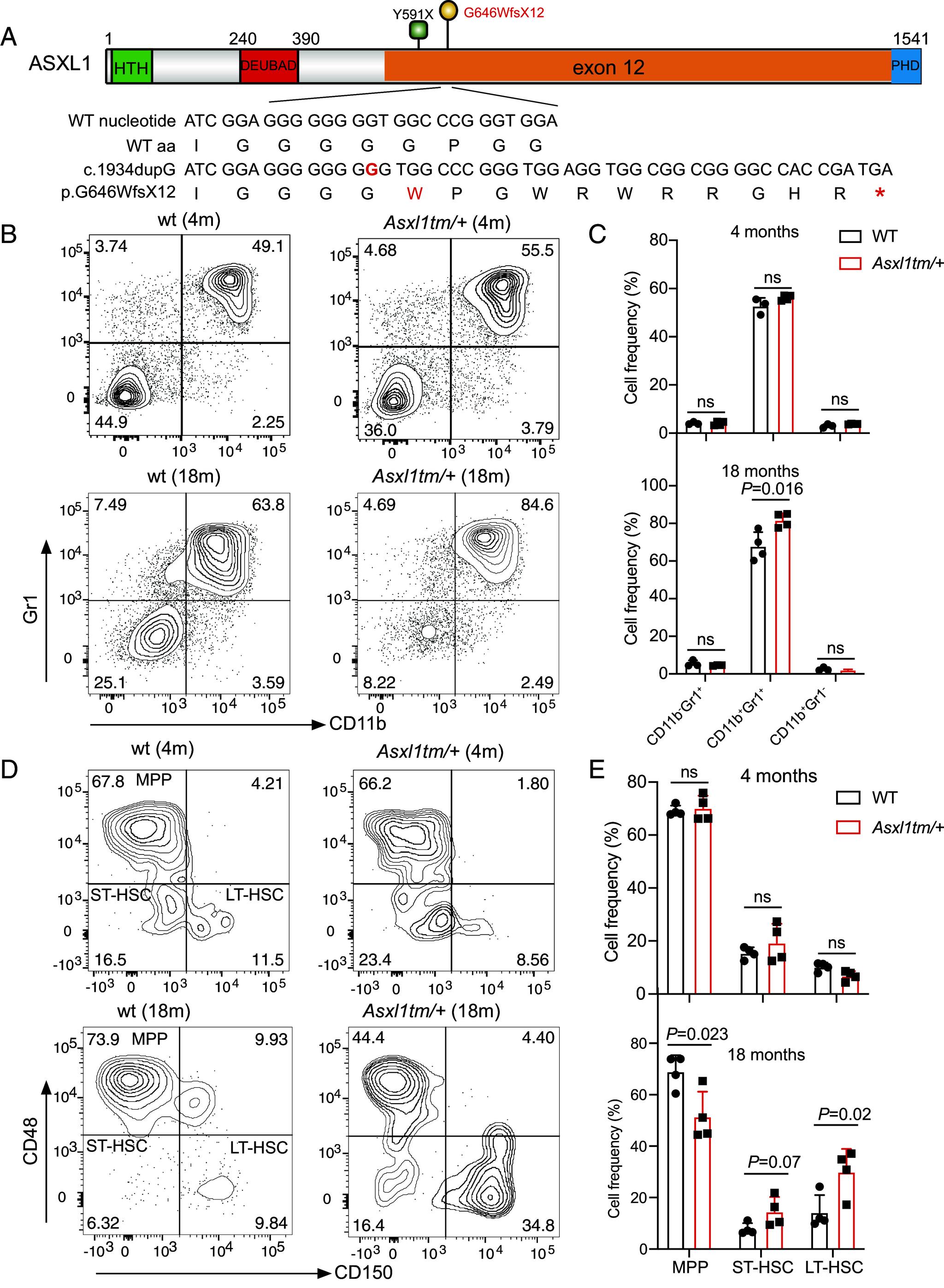 https://cdn.ncbi.nlm.nih.gov/pmc/blobs/5571/11725933/a0e98fdb3afc/pnas.2413302121fig02.jpg