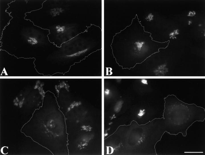 https://cdn.ncbi.nlm.nih.gov/pmc/blobs/5571/2198842/6976ad810260/0105005f2.jpg