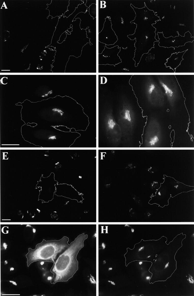 https://cdn.ncbi.nlm.nih.gov/pmc/blobs/5571/2198842/9940d4c5300b/0105005f6.jpg