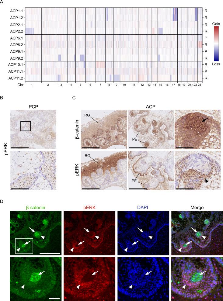 https://cdn.ncbi.nlm.nih.gov/pmc/blobs/5573/11316312/1d67a2fe18a2/40478_2024_1838_Fig1_HTML.jpg