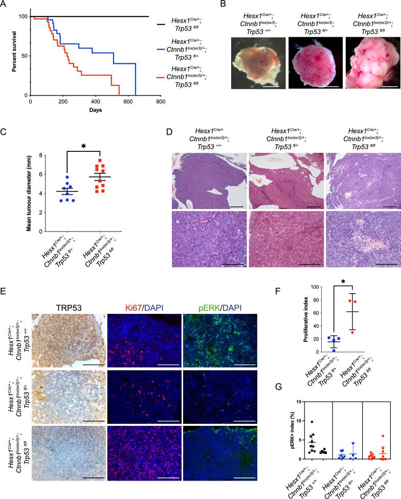 https://cdn.ncbi.nlm.nih.gov/pmc/blobs/5573/11316312/b0a29aa77053/40478_2024_1838_Fig4_HTML.jpg