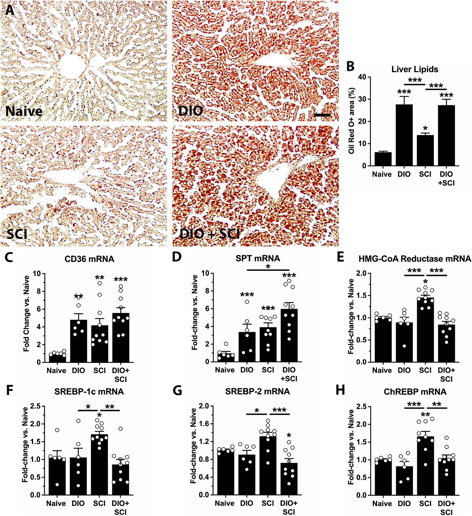 https://cdn.ncbi.nlm.nih.gov/pmc/blobs/5573/11874686/aac650ab5450/nihms-2057945-f0005.jpg