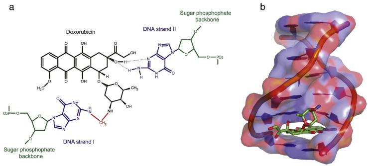 https://cdn.ncbi.nlm.nih.gov/pmc/blobs/5573/9569977/59b01d80f978/ijms-23-11352-g008.jpg