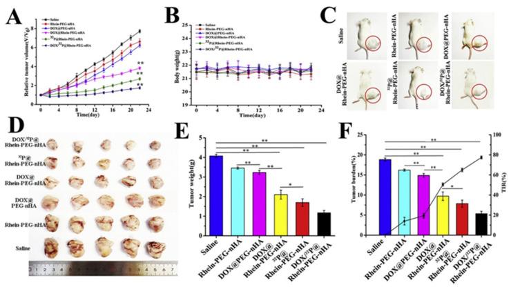 https://cdn.ncbi.nlm.nih.gov/pmc/blobs/5573/9569977/bb1137f1b5f5/ijms-23-11352-g011.jpg