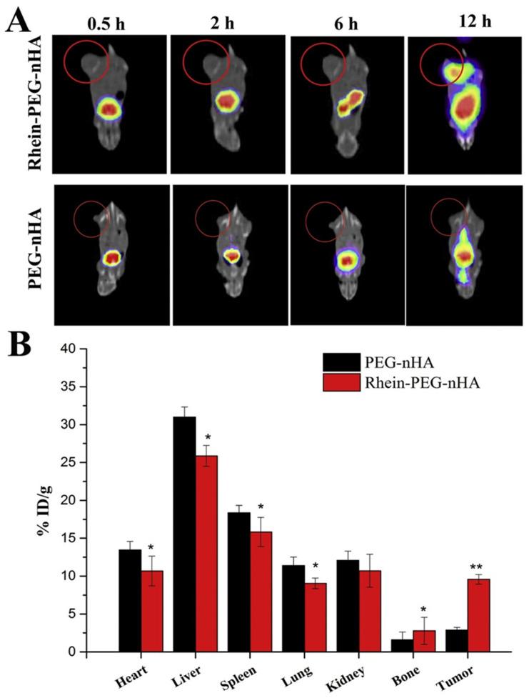 https://cdn.ncbi.nlm.nih.gov/pmc/blobs/5573/9569977/daa6ff280592/ijms-23-11352-g012.jpg