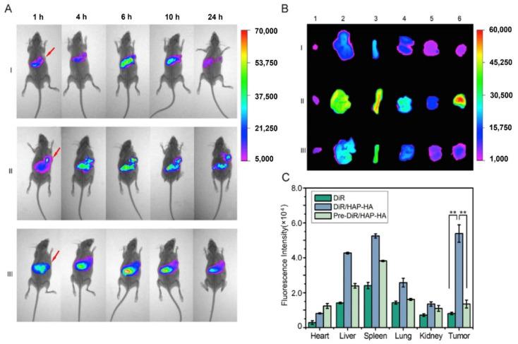 https://cdn.ncbi.nlm.nih.gov/pmc/blobs/5573/9569977/e0754123dbbb/ijms-23-11352-g010.jpg