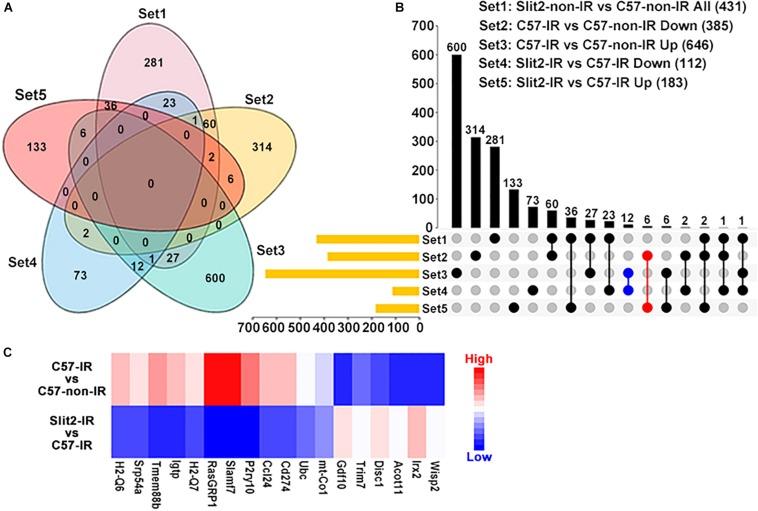 https://cdn.ncbi.nlm.nih.gov/pmc/blobs/5574/7135862/4d4b0590fefc/fphys-11-00228-g004.jpg