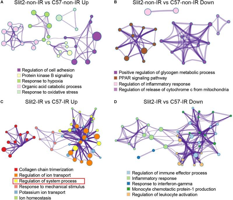 https://cdn.ncbi.nlm.nih.gov/pmc/blobs/5574/7135862/809a111b75a2/fphys-11-00228-g003.jpg