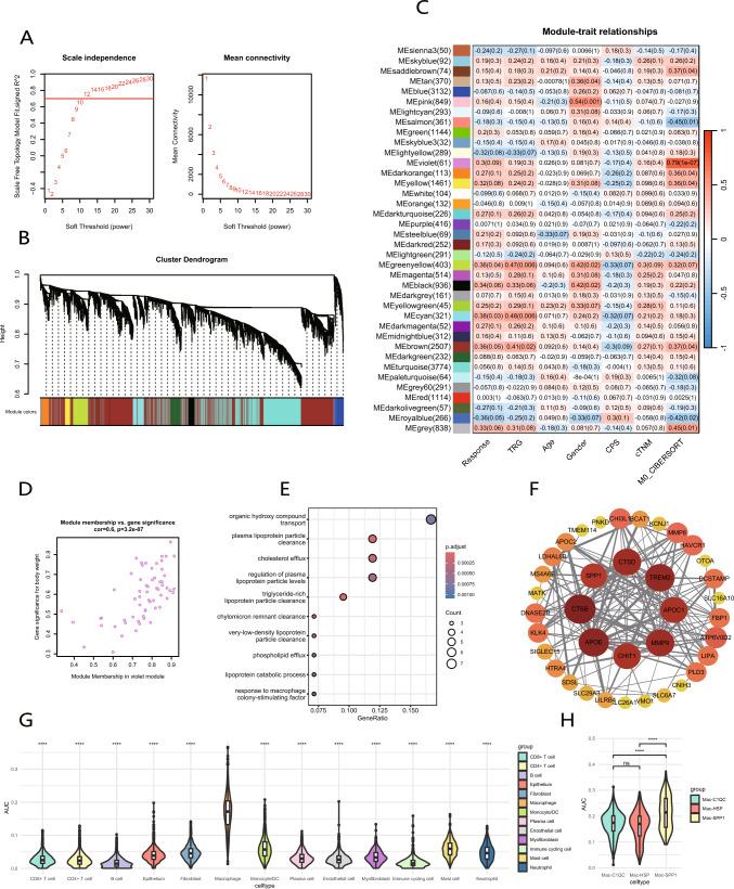 https://cdn.ncbi.nlm.nih.gov/pmc/blobs/5575/11455823/2deb7d094992/262_2024_3848_Fig7_HTML.jpg